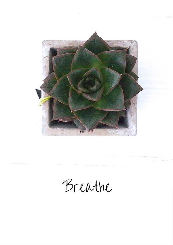 Breathe Zeit 