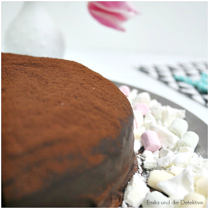 Schokoladen Torte Sacher Art